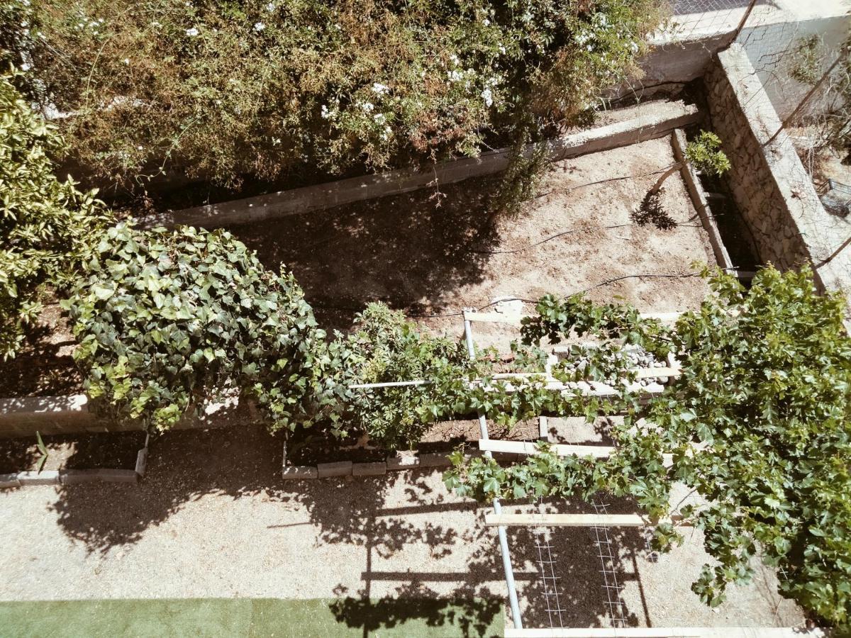 Hotel Golden Star Agia Marina  Zewnętrze zdjęcie
