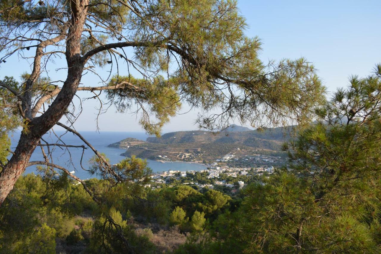 Hotel Golden Star Agia Marina  Zewnętrze zdjęcie